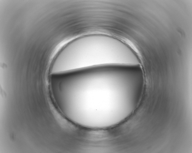 X0000091351133200708101032