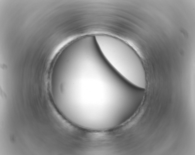 X0000091351134200708101032