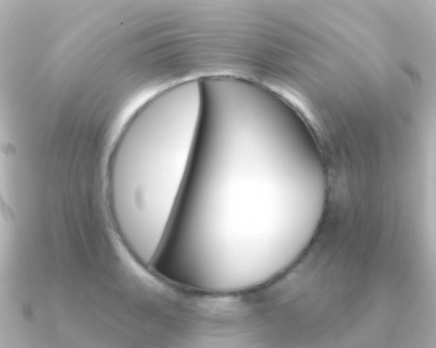 X0000091351135200708101032