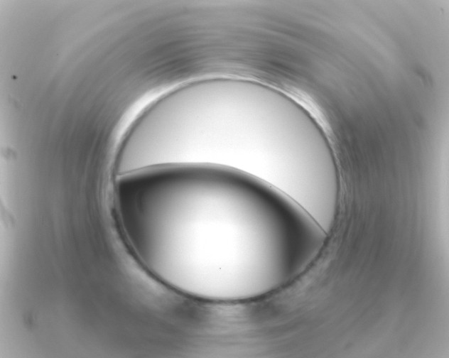 X0000091351136200708101032