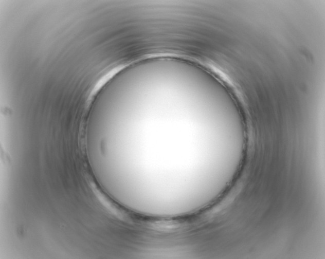 X0000091351137200708101032