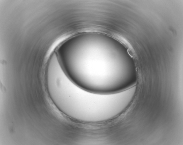 X0000091351138200708101032