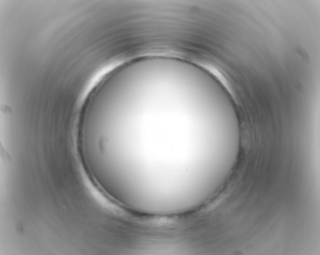 X0000091351139200708101032