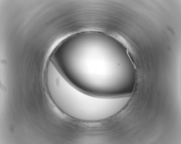 X0000091351140200708101032