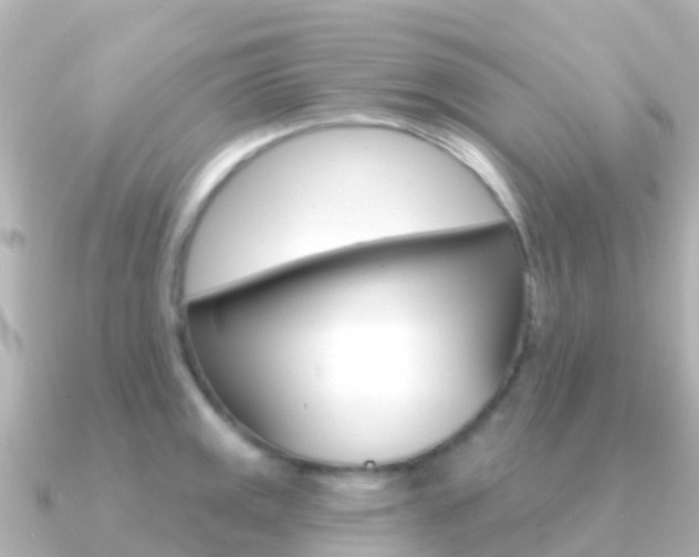 X0000091351141200708101032