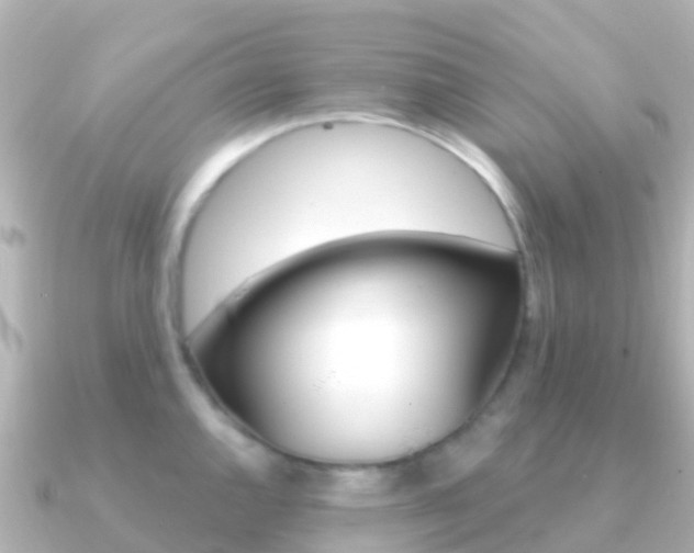 X0000091351144200708101032