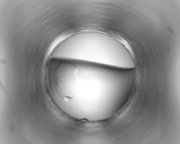 X0000091351146200708101032