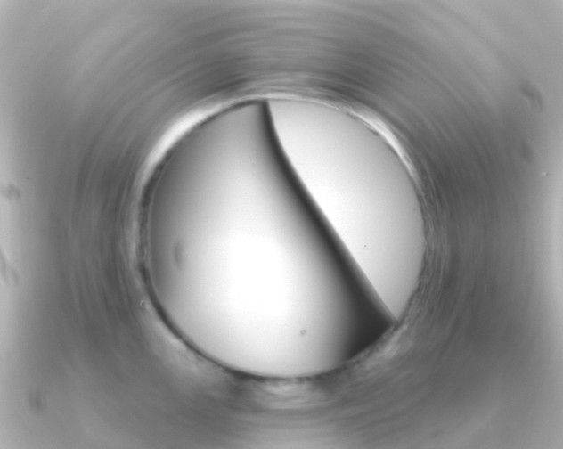 X0000091351147200708101032