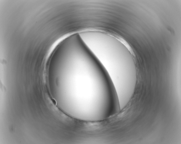 X0000091351148200708101032