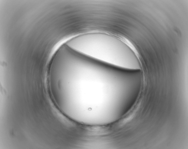 X0000091351149200708101032