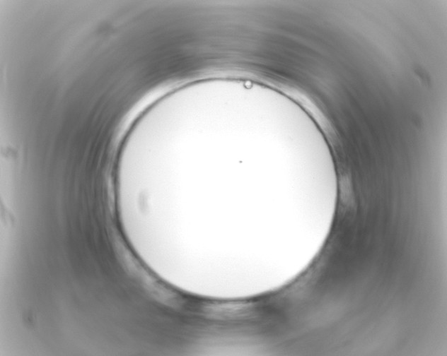 X0000091351150200708101032