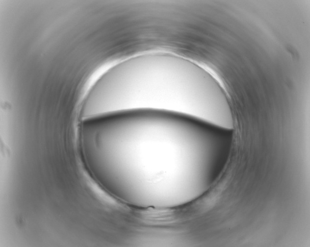 X0000091351151200708101032