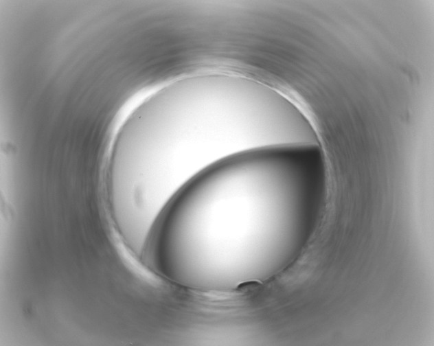 X0000091351152200708101032