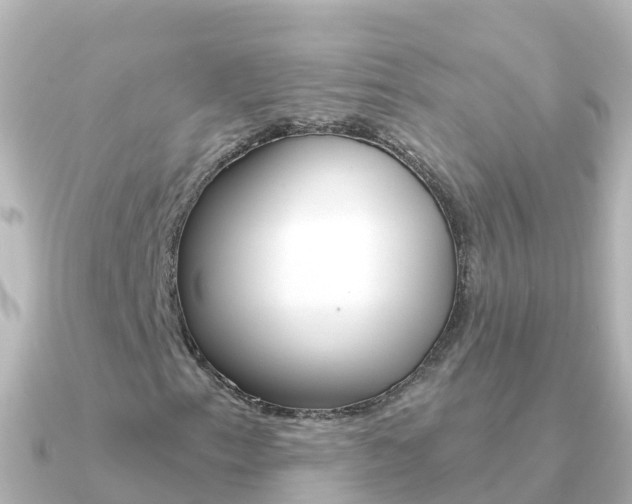 X0000091351153200708101032