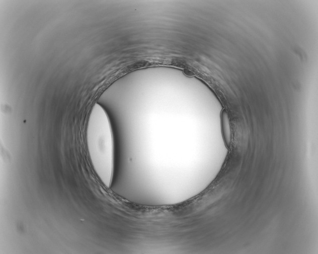 X0000091351154200708101032