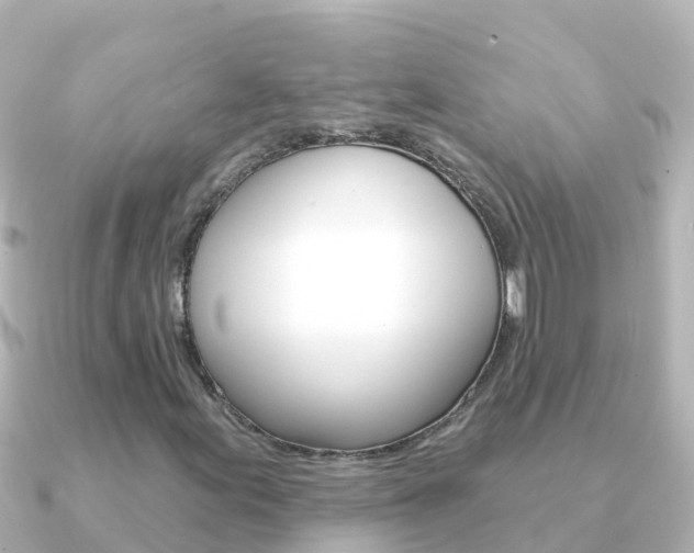 X0000091351155200708101032