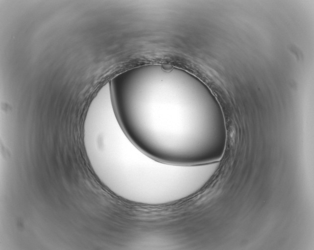 X0000091351156200708101032