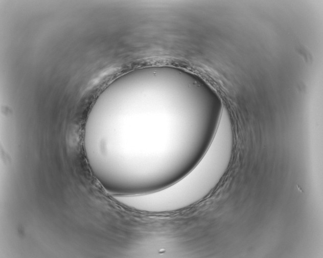 X0000091351157200708101032