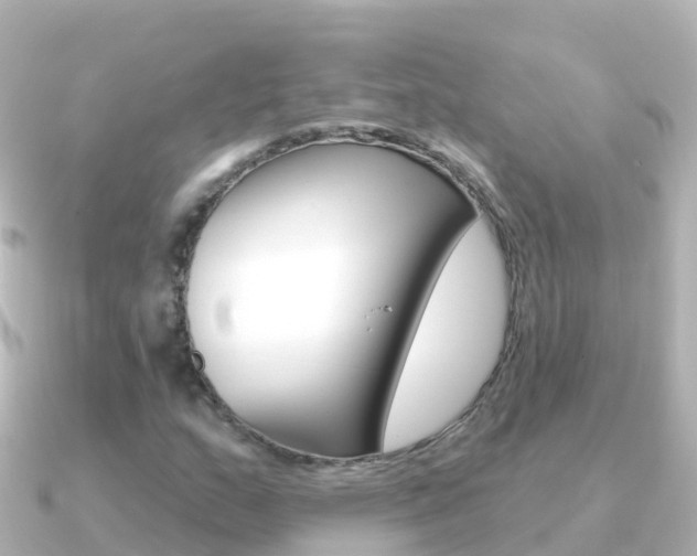 X0000091351159200708101032
