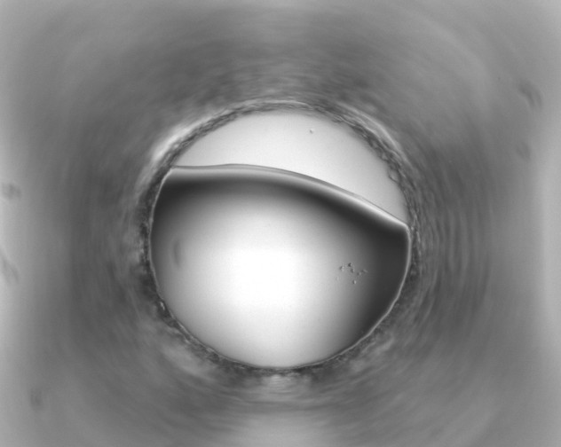 X0000091351160200708101032