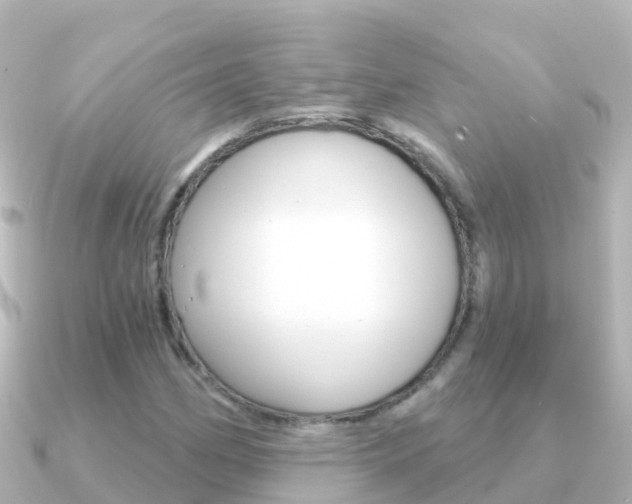 X0000091351162200708101032