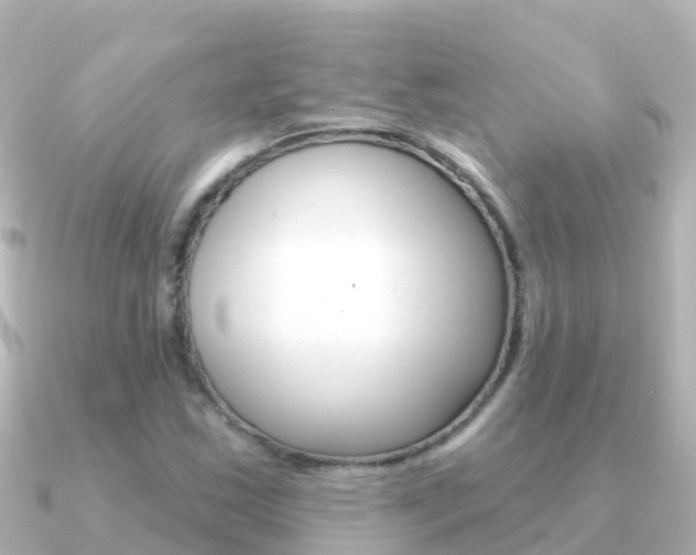 X0000091351163200708101032