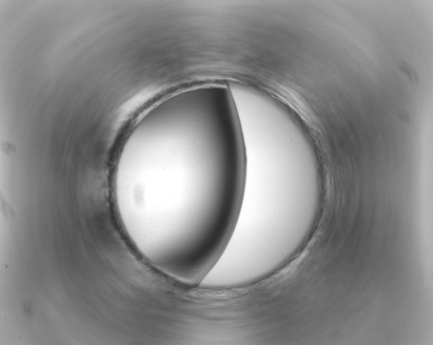 X0000091351164200708101032