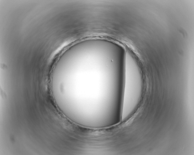 X0000091351165200708101032