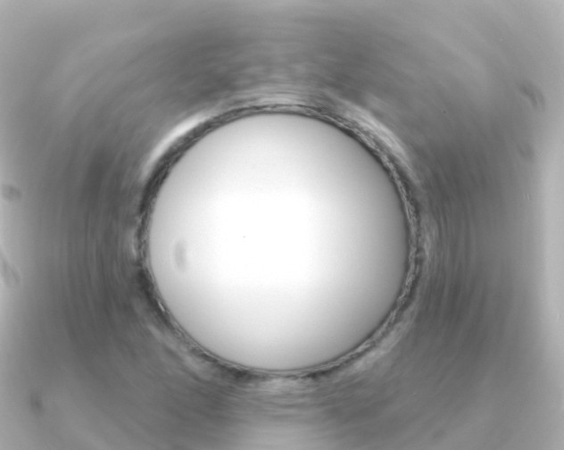 X0000091351166200708101032