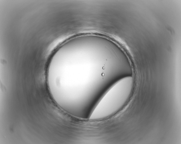 X0000091351167200708101032