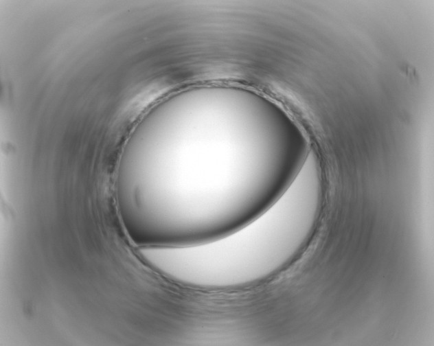 X0000091351169200708101032