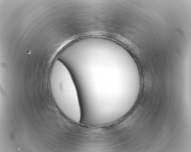 X0000091351170200708101032