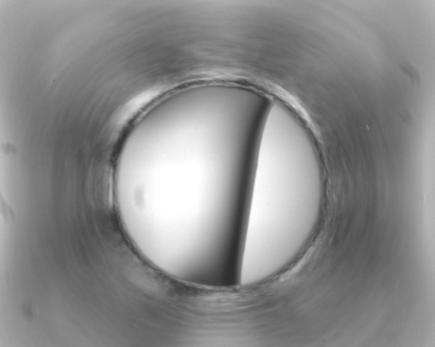 X0000091351171200708101032
