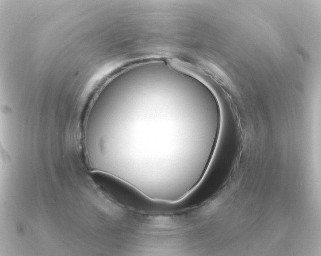 X0000091351172200708101032