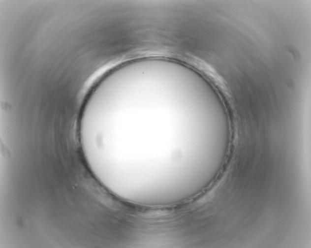 X0000091351174200708101032