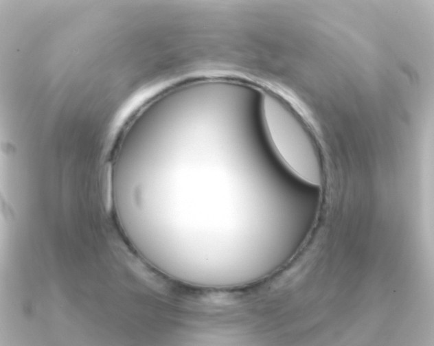 X0000091351175200708101032