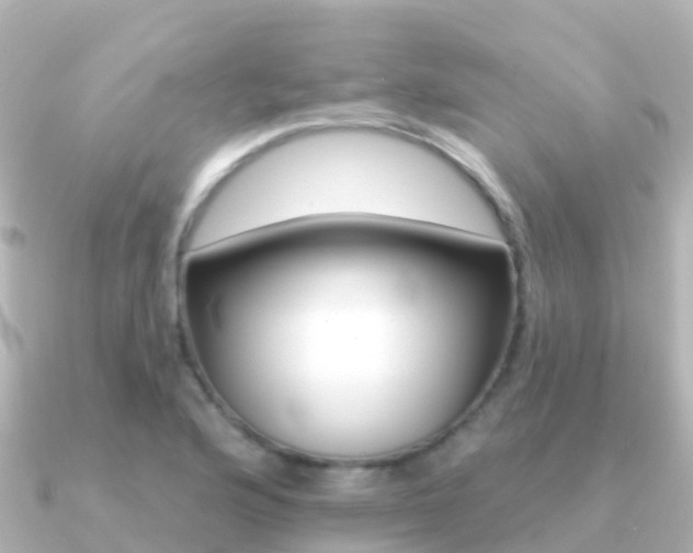 X0000091351176200708101032