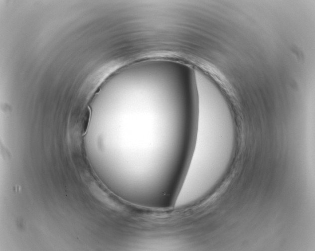 X0000091351177200708101032