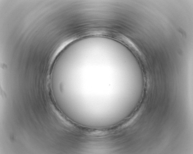 X0000091351178200708101032
