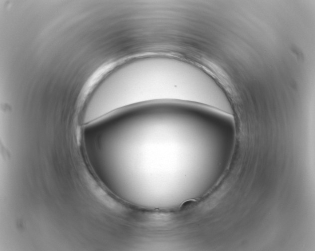X0000091351180200708101032