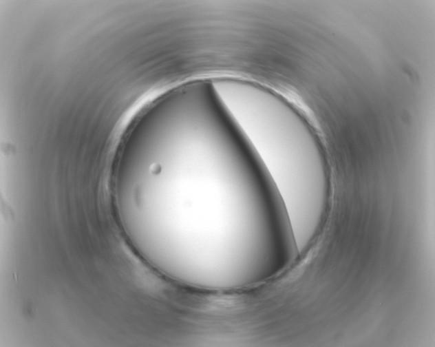 X0000091351181200708101031