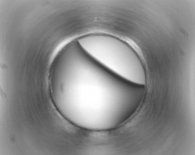 X0000091351183200708101031