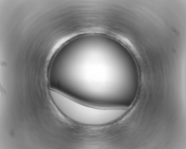 X0000091351184200708101031