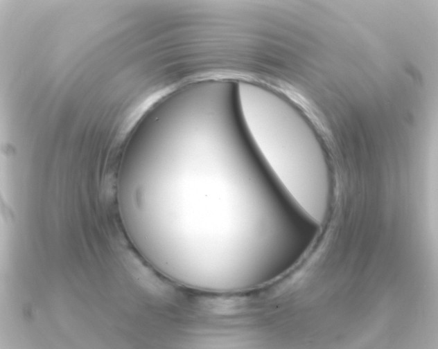 X0000091351185200708101031