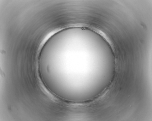 X0000091351187200708101031