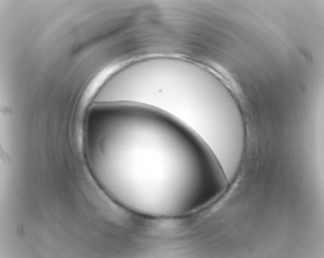 X0000091351188200708101031