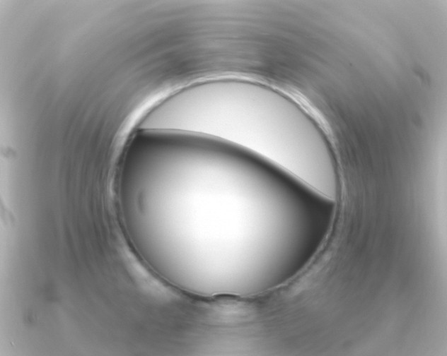 X0000091351189200708101031