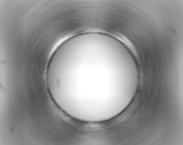 X0000091351190200708101031