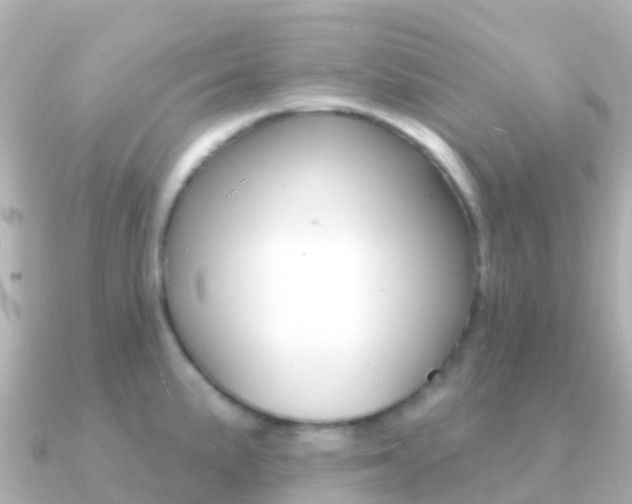 X0000091351191200708101031
