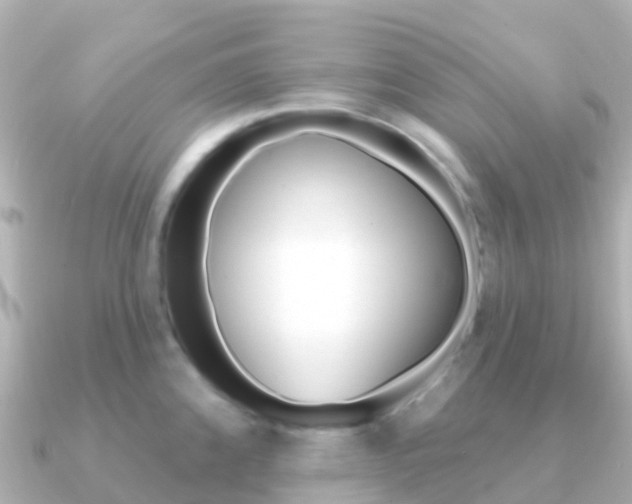 X0000091351192200708101031